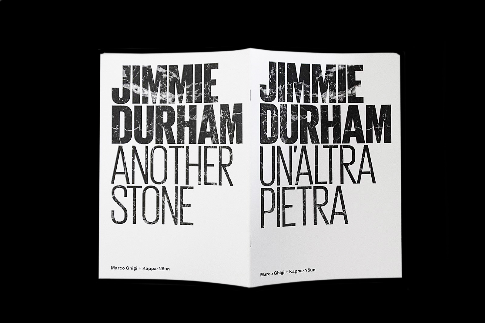 jimmie durham another stone