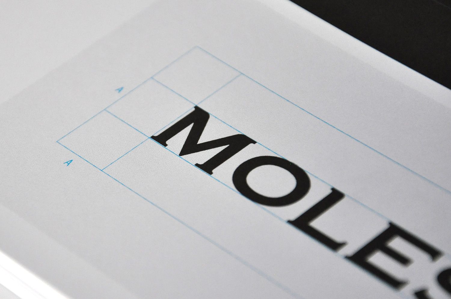 moleskine logo brand manual