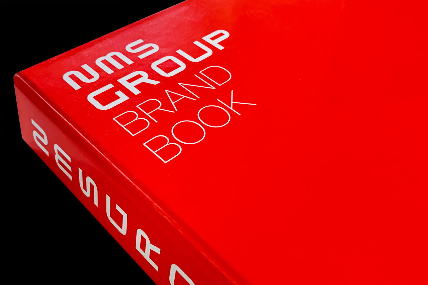 nms group brand book corporate identity guidelines