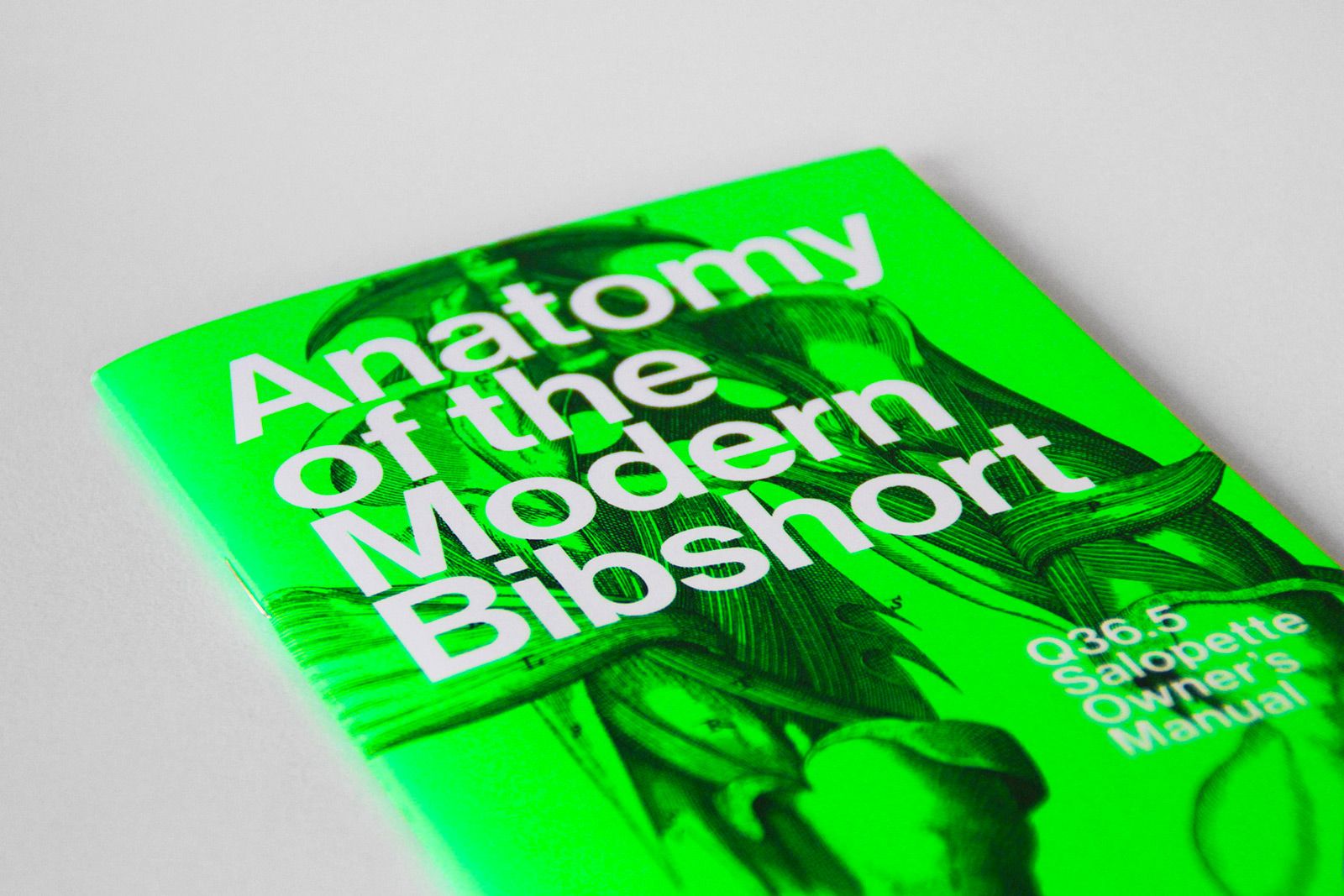 q365 anatomy bibshort
