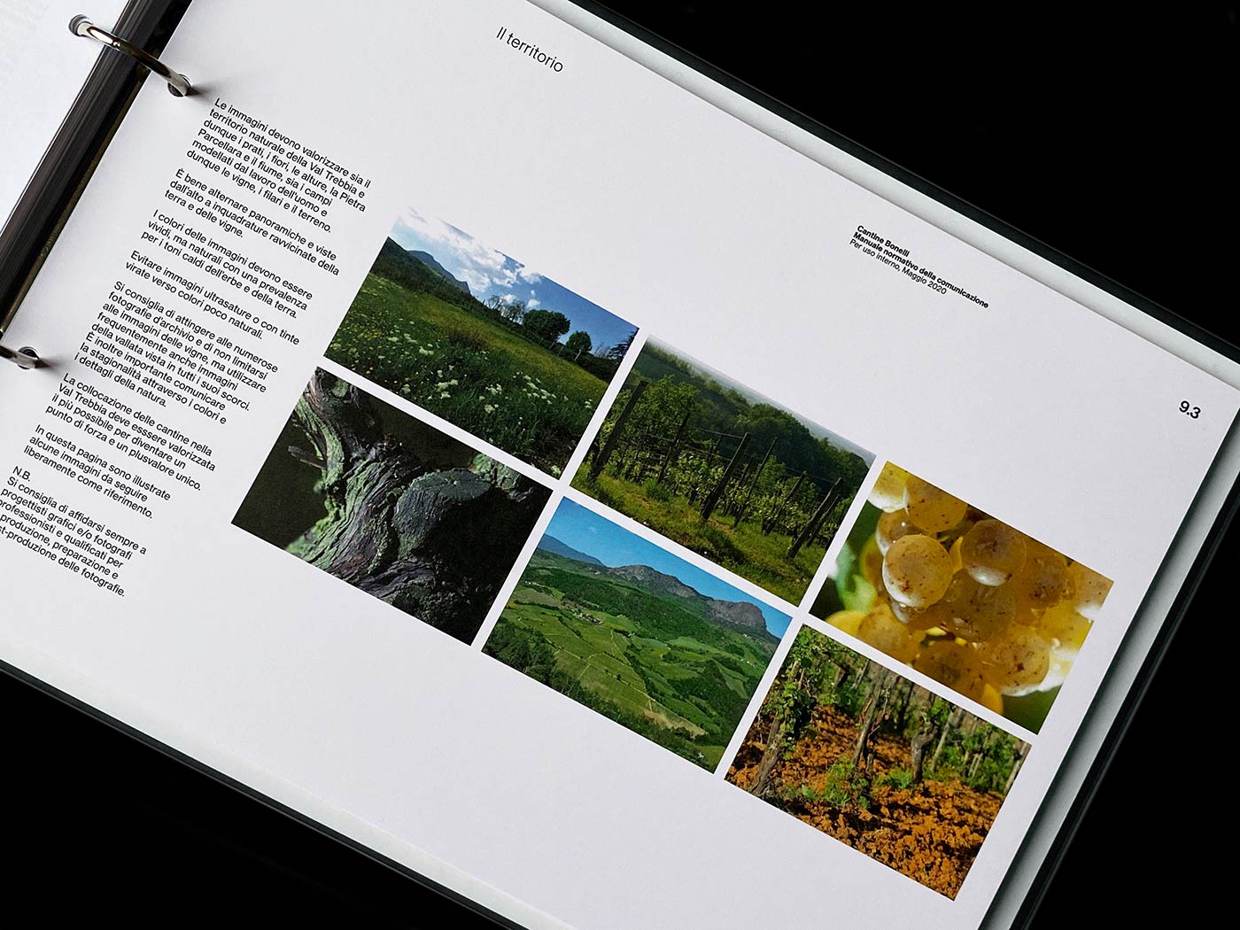 bonelli manuale normativo immagine coordinata