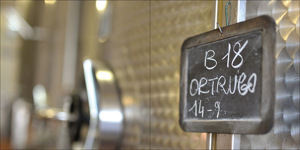 vini cantine bonelli ortrugo