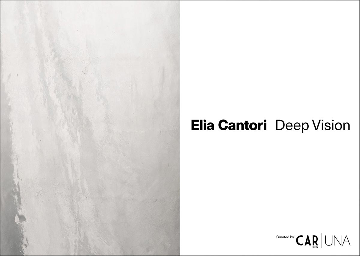 elia cantori deep vision