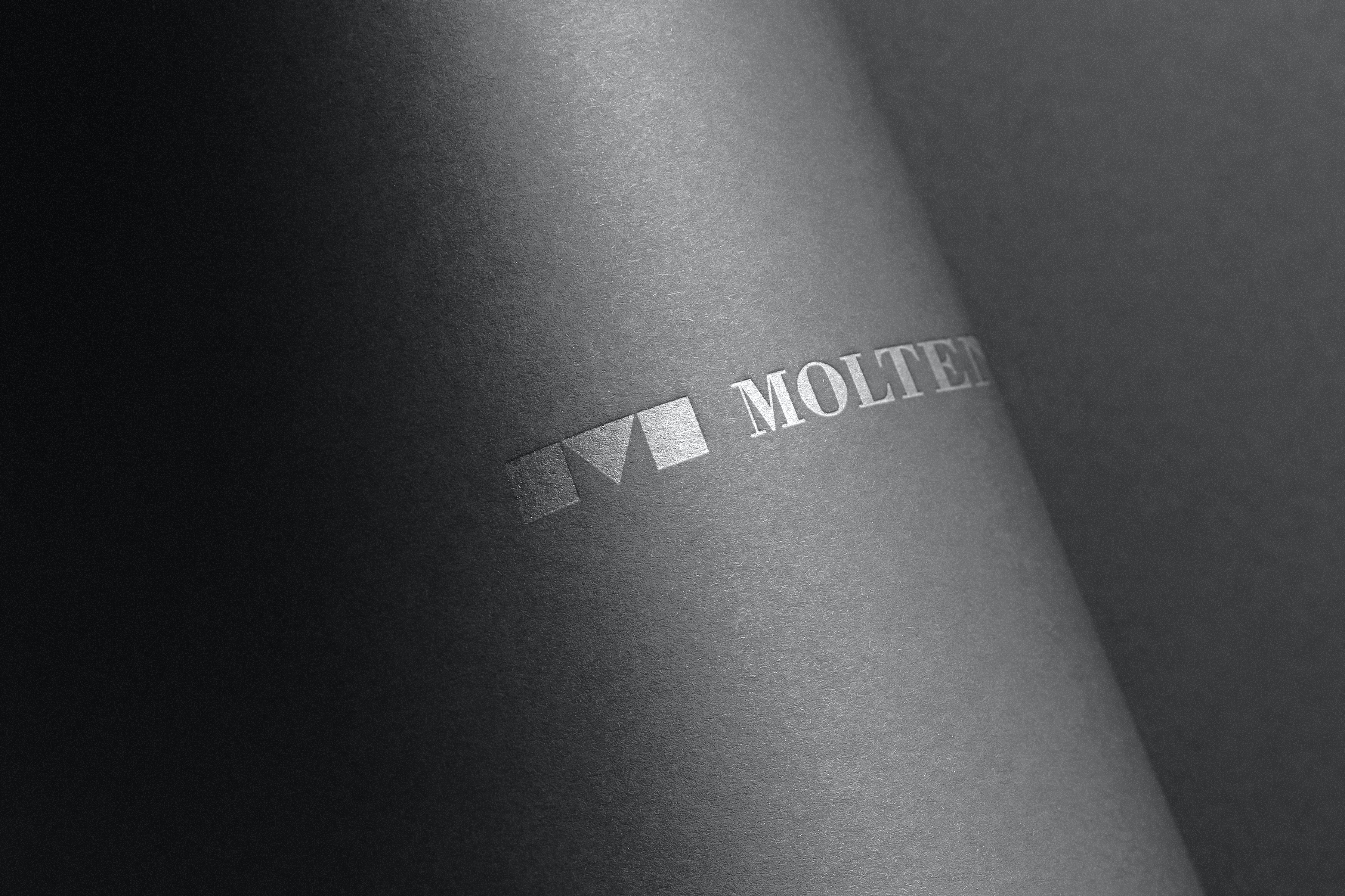 molteni group logo