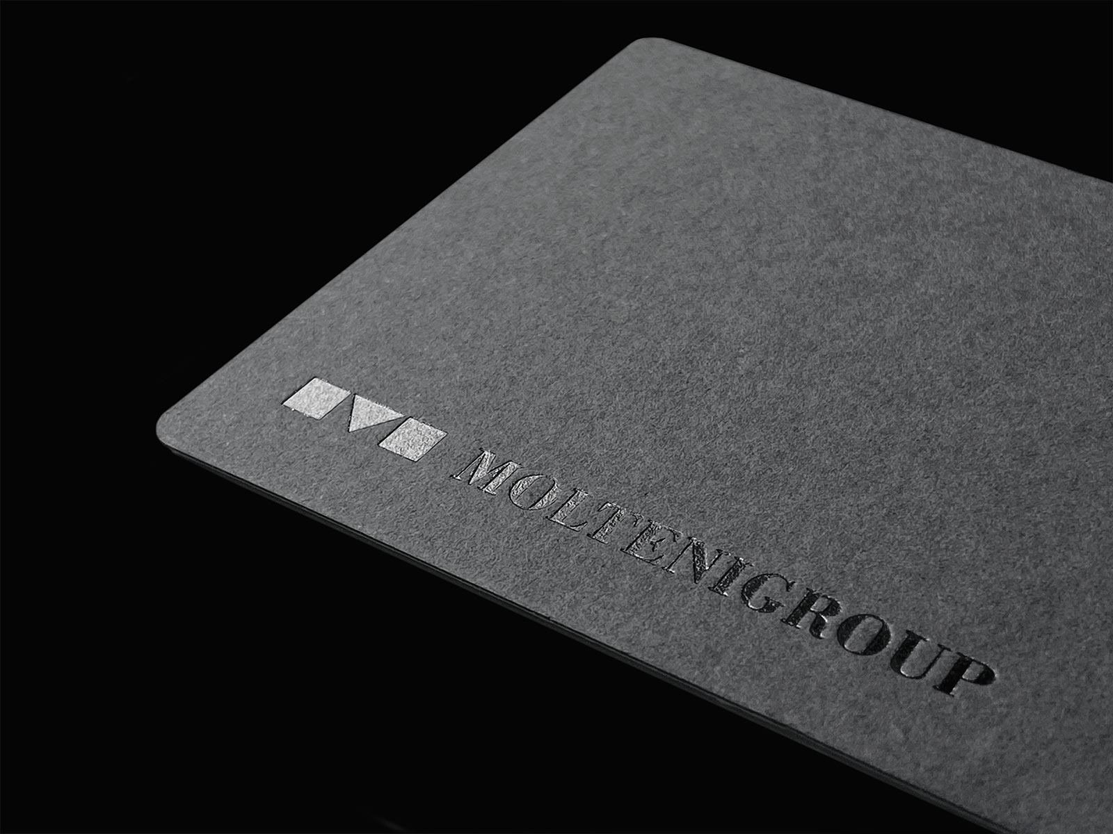 molteni group logo design