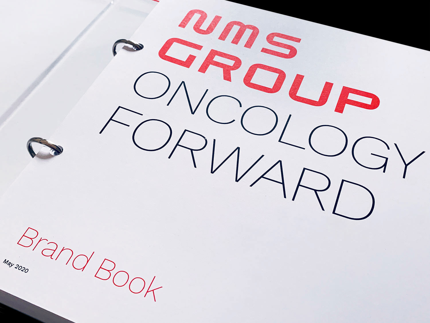 nms group brand book corporate identity standards guidelines