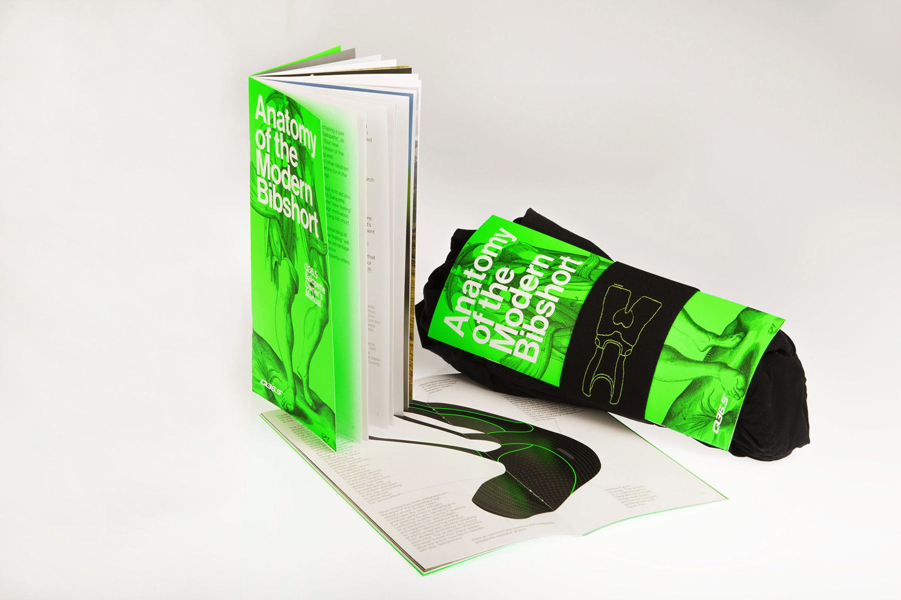 q365 anatomy of the modern bibshort