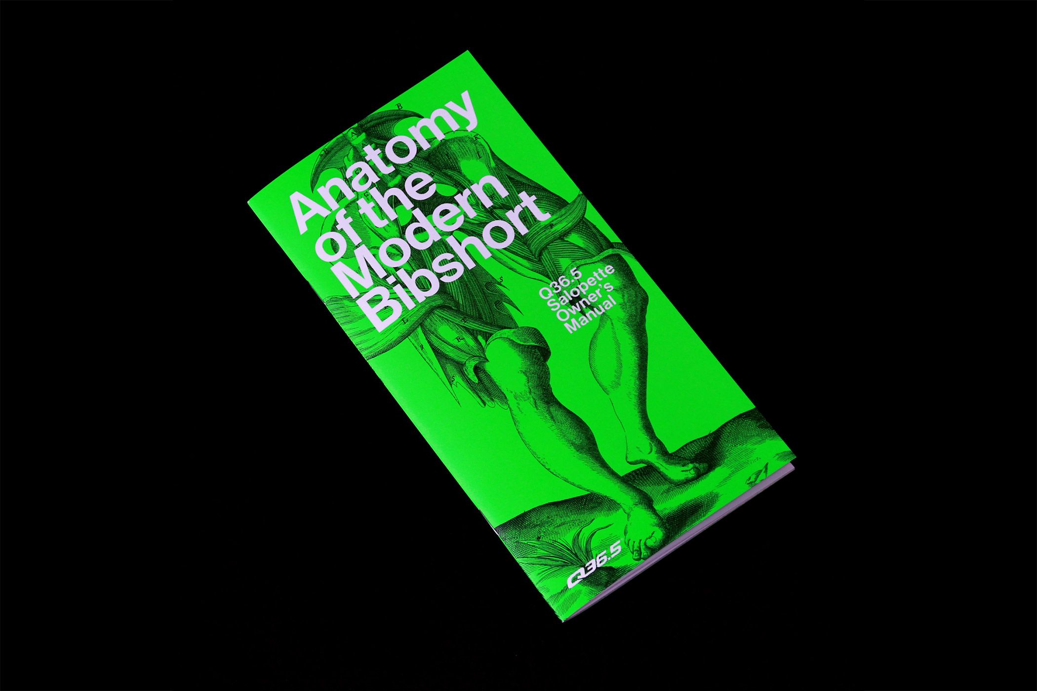 q365 anatomy of the modern bibshort