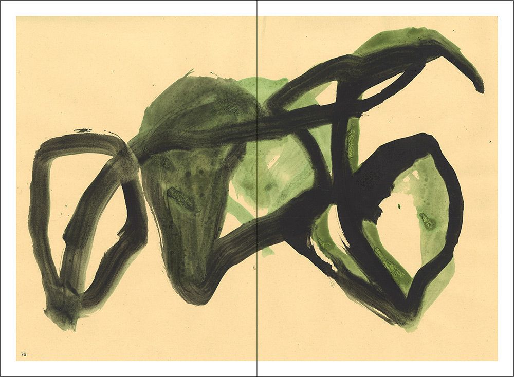 thomas berra verde indagine