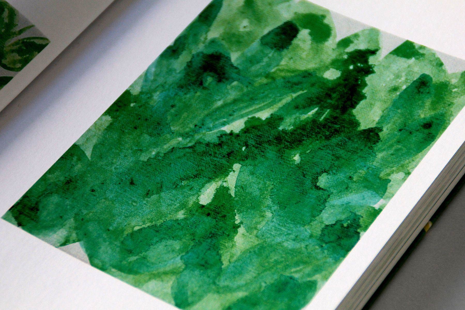 thomas berra verde indagine